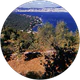 G d profil fotoğrafı