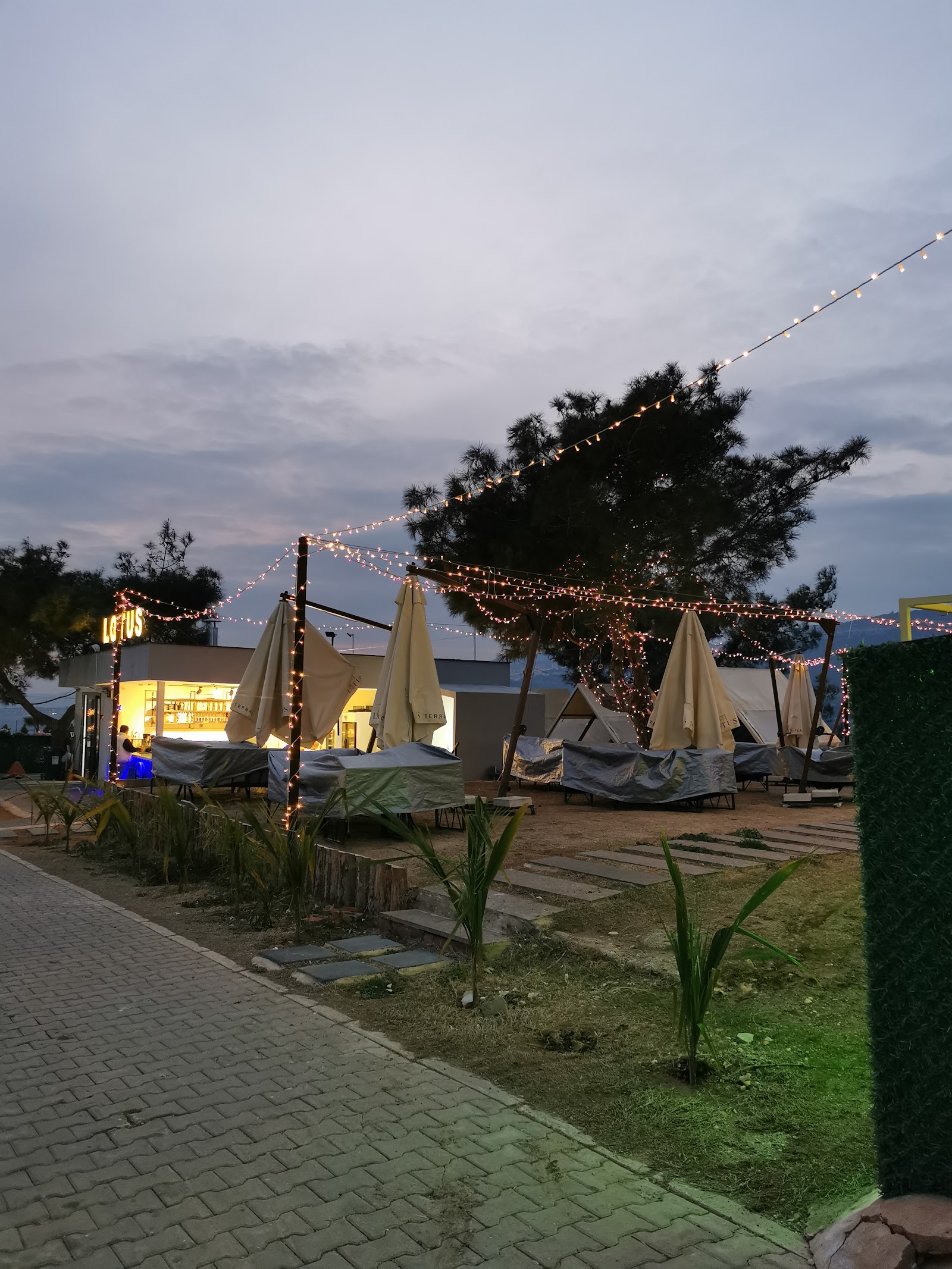 Lotus Ve Elegans Kır Düğün Salonu — Toroslar, Mersin kır düğünü mekanı görsel 7