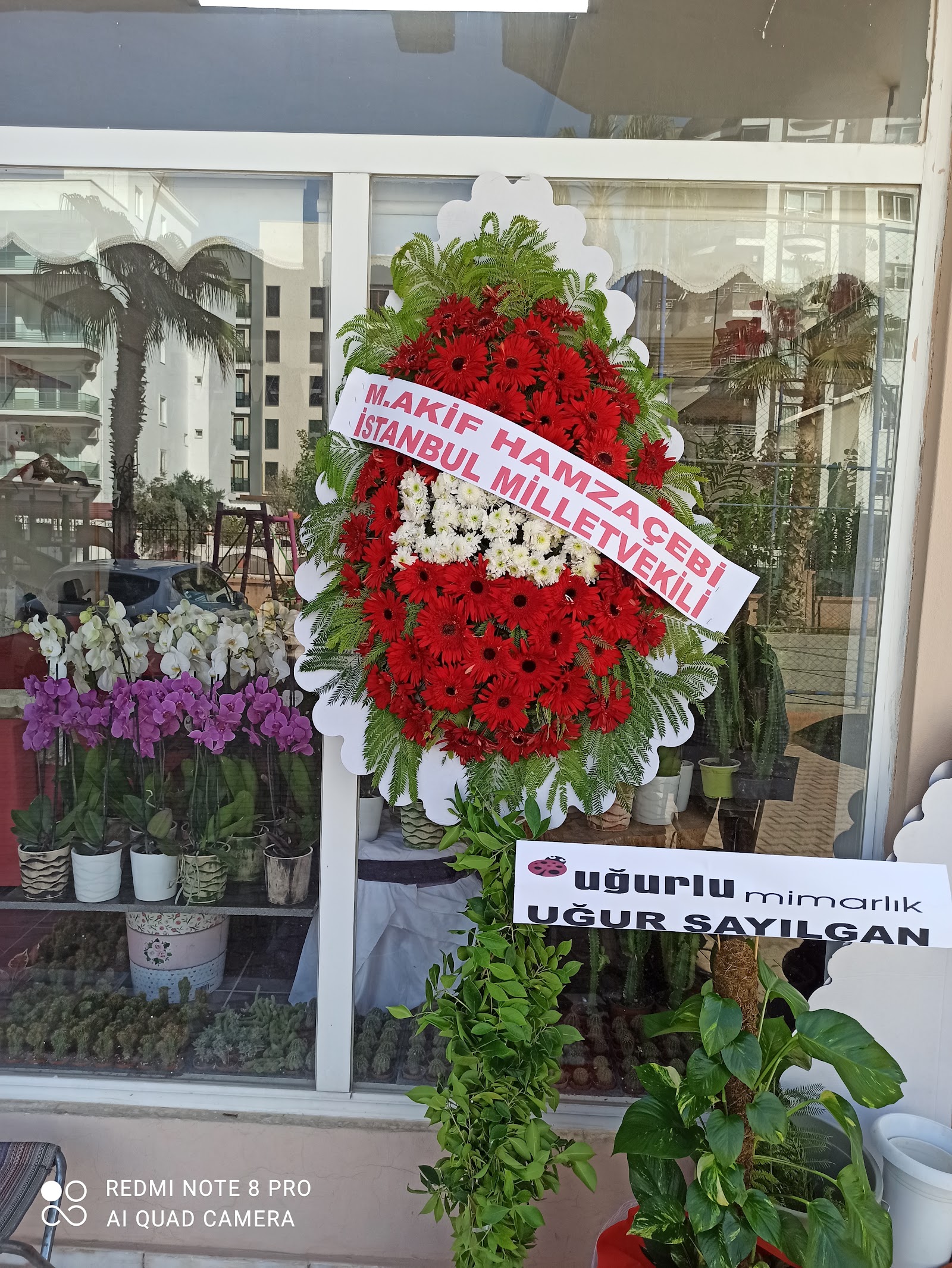 Mersin Flower 33