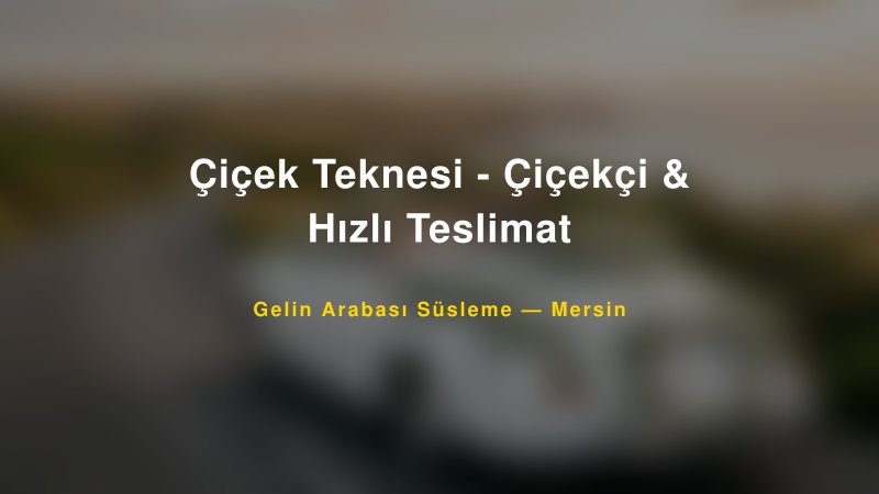 Çiçek Teknesi - Çiçekçi & Hızlı Teslimat Mersin Gelin Arabası Süsleme